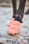 Koiransukat Protector light socks 4kpl lyhyet Non-stop dogwear - Koiran tossut, sukat ja korvasuojat - 037329 - 7