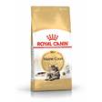 Maine Coon Adult Royal Canin - Kissan kuivaruoat aikuisille kissoille - 000509 - 2