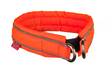 Panta Safe oranssi Non-stop dogwear - Koiran erikoispannat - 002349 - 2