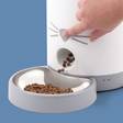 Ruokinta-automaatti Pixi Smart Feeder Catit - Kissan ruokinta- ja vesiautomaatit - 037599 - 4