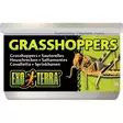 Kuivattu heinäsirkka Grasshoppers 34g prk Exoterra - Matelijoiden ruokinta ja lisäravinteet - 044989 - 1