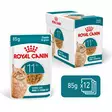 Ageing 11+ Gravy 12x85g Royal Canin - Ikääntyvien kissojen säilykkeet - 053849 - 1