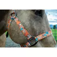 Nylonriimu Howdy FULL oranssi Schulz Equine - Hevosen nylonriimut - 056639 - 3