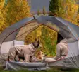 Fleecehaalari Trail quest sand Non-stop dogwear - Koiran haalarit - 055359 - 4