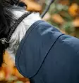 Jokasääntakki Newmarket Heritage navy-witney Horseware - Koiran paidat ja neuleet - 057739 - 3