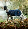 Jokasääntakki Newmarket Heritage navy-witney Horseware - Koiran paidat ja neuleet - 057739 - 1