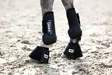 Jännesuojat Tendon Protection Boots EJ musta Eskadron - Hevosen vuohis- ja hivutussuojat - 050369 - 3