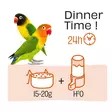 Kaijasten täysravinto Lovebirds PUUR Witte Molen - Lemmikkilintujen ruoka - 027099 - 7