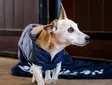 Koiran lämpötakki Cosy navy Bucas - Koiran manttelit - 055519 - 3