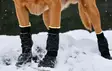 Koiran sukka tarralla Universal High 4 kpl musta V.I.P Dogwear - Koiran tossut, sukat ja korvasuojat - 057119 - 6