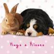 Kortti 13.7x13.7cm Hugs & Kisses - Lahjatavarat - 059129 - 1