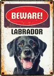 Metallikyltti "Beware! Labrador" 21x14,8cm Flamingo - Varoitus- ja huomiokyltit - 059339 - 1