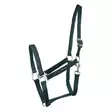 Nylonriimu Core vihreä Hansbo Sport - Hevosen nylonriimut - 056609 - 1