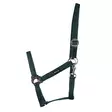 Nylonriimu Core vihreä Hansbo Sport - Hevosen nylonriimut - 056609 - 2
