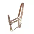 Nylonriimu taupe Equestrian Life Hansbo Sport - Hevosen nylonriimut - 033759 - 1