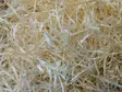 RUTI Rex kopinpehmike 10kg puukuitua - Puhtaanapito, pesuaineet, pissialustat - 006299 - 2