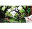 Taustakuva liimalla Dream/Wooden Sky 60x30cm Hobby - Akvaarion tarvikkeet ja hiekat - 059159 - 2