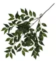 Tekokasvi Banyan Green 62x32cm Terra Della - Terraarion tarvikkeet ja kuivikkeet - 059429 - 1