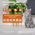 Turkey Tender Cuts Multipack 6x85g CORE cat - Aikuisten kissojen säilykkeet - 055029 - 3