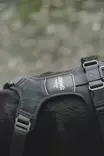 Y-valjas Motion Reflect harmaa Hunter x Eskadron - Koiran Y-valjaat - 055979 - 9