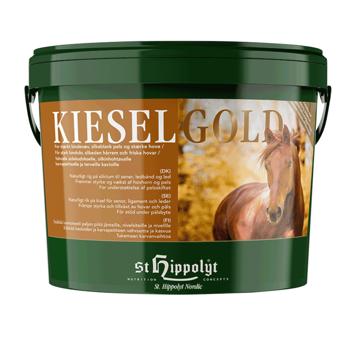 Kieselgold St Hippolyt - Hevosen kivennäiset ja vitamiinit - 033319 - 1