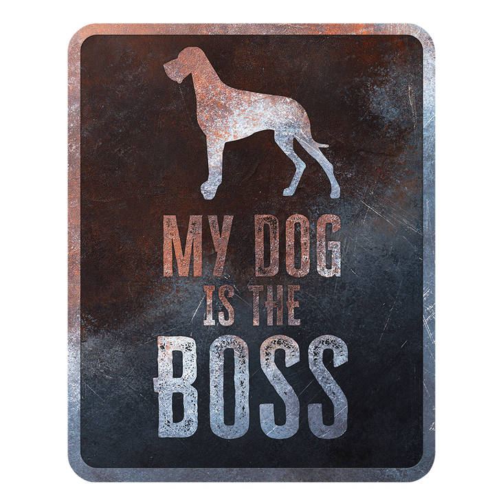 Kyltti My dog is the boss 25x20cm D&D - Varoitus- ja huomiokyltit - 031959 - 1