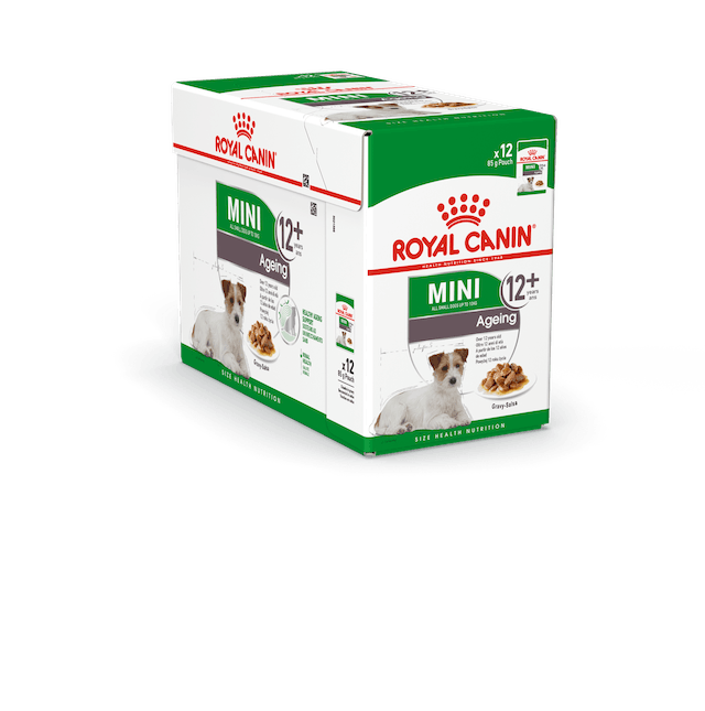 MINI Ageing 12+ Gravy 12x85g kastike Royal Canin - Koiran säilykkeet ikääntyville koirille - 011839 - 2