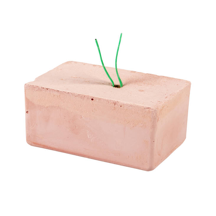 Mineraalikivi Plus Energy M punainen Vitte Molen - Kotieläin lintujen ruokinta - 032439 - 1