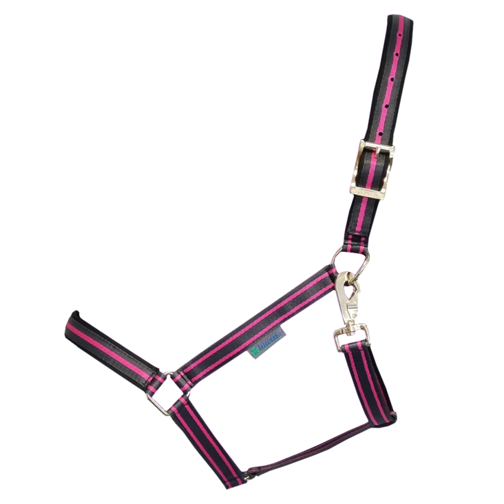 Riimu Dublin charcoal Bucas - Hevosen nylonriimut - 036709 - 1