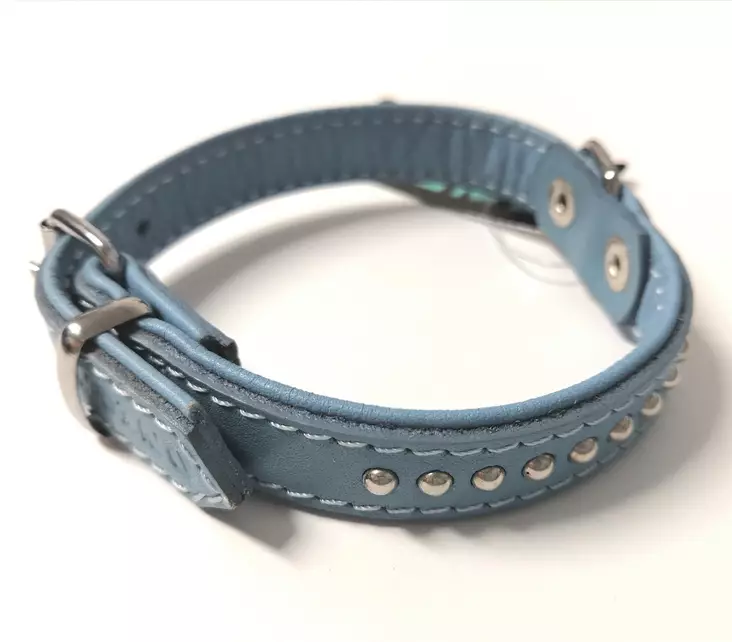 Solkipanta nahkaa pyörein niitein vaaleansininen 16mm Onega - Koiran solkipannat - 030459 - 1