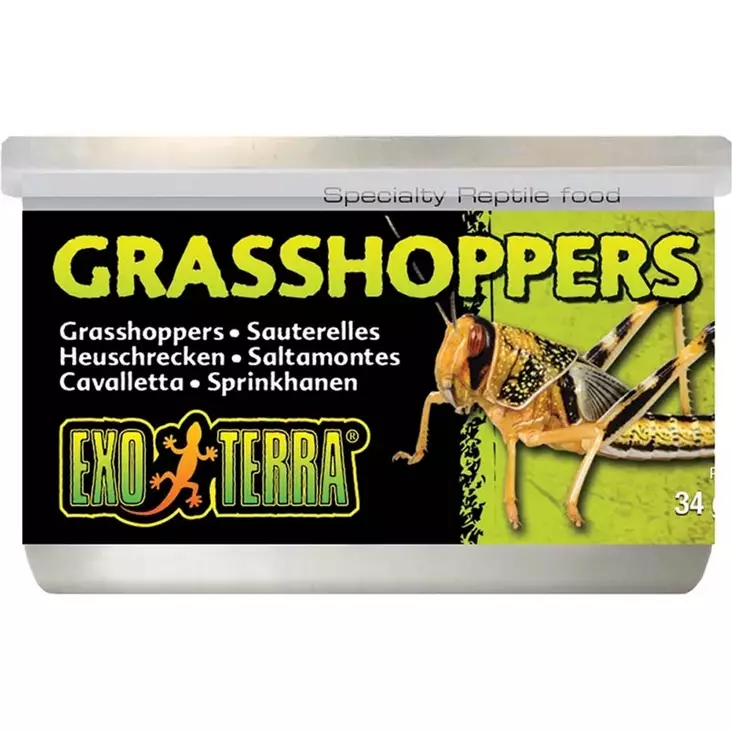 Kuivattu heinäsirkka Grasshoppers 34g prk Exoterra - Matelijoiden ruokinta ja lisäravinteet - 044989 - 1