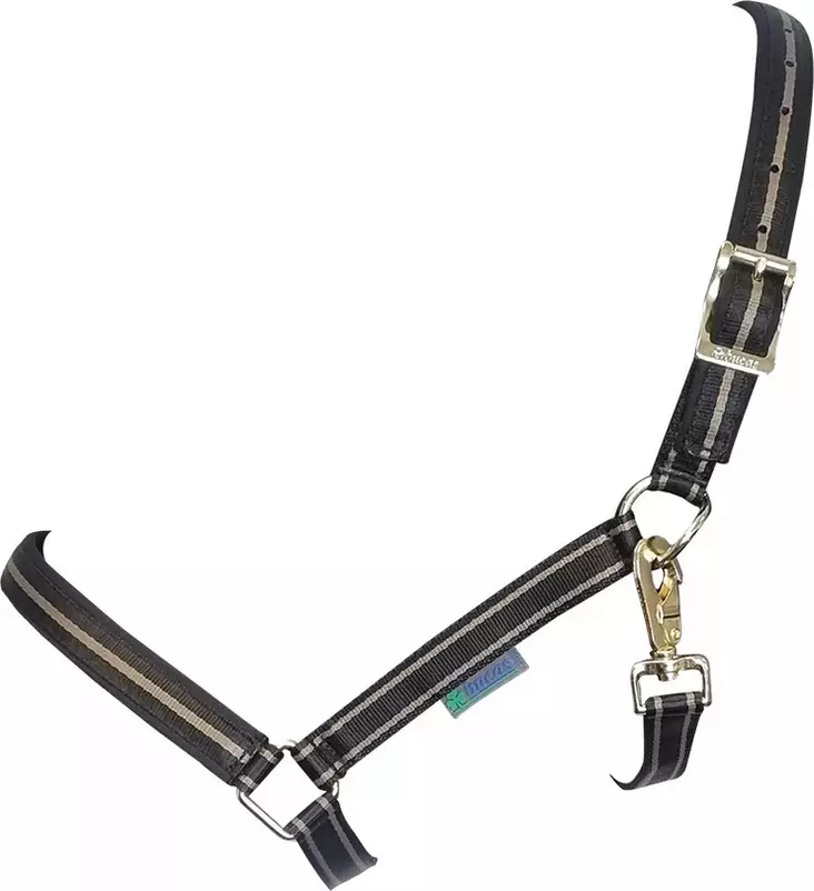 Riimu Dublin musta/taupe Bucas - Hevosen nylonriimut - 049539 - 1