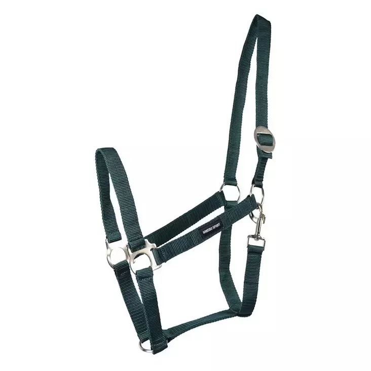 Nylonriimu Core vihreä Hansbo Sport - Hevosen nylonriimut - 056609 - 1
