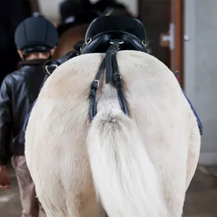 Häntäremmi satulaan musta Hansbo Sport - Ponin varusteet - 017569 - 1