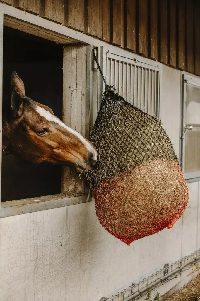 Heinäverkko Fine 125cm silmäkoko 3cm musta-punainen Hippotonic - Hevosen ruokinta-astiat ja ämpärit - 051009 - 1