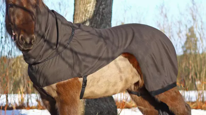 Kesäihottumaloimi Light - malli tummanruskea Boett Ab - Hevosen ihottumaloimet - 038539 - 1