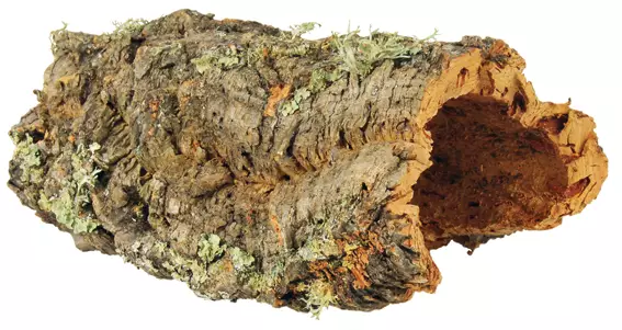 Korkkipuukaari L n. 55cm Trixie - Terraarion tarvikkeet ja kuivikkeet - 045319 - 1