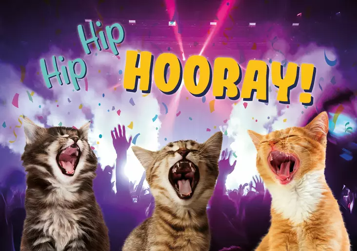 Kortti A5 Hip Hip Hooray! / kissat - Lahjatavarat - 059119 - 1