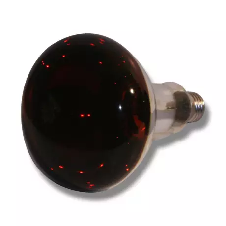 Lämpölamppu punainen 150W Eider - Eläinsuojan lämmitys - 023619 - 1