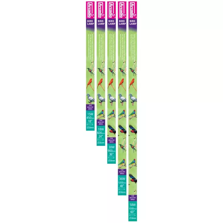 Lintulamppu 18w 2.4% uvb 12% uva 60cm Arcadia - Lemmikkilintujen häkkitarvikkeet - 059579 - 1