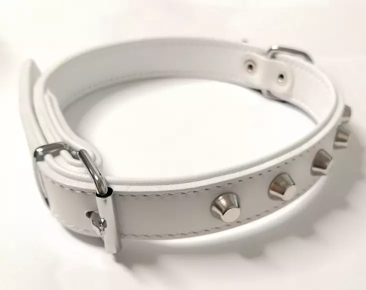 Nahkainen solkipanta LUX valkoinen+niitit ONEGA - Koiran solkipannat - 049889 - 1