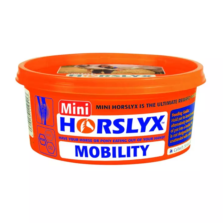 Nuolu/koulutuskivi Mini Mobility 650g Horslyx - Hevosen suola ja nuolukivet - 039109 - 1