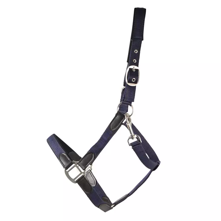 Nylonriimu Edit nahkaisilla yksityiskohdilla musta Hansbo Sport - Hevosen nylonriimut - 056549 - 1