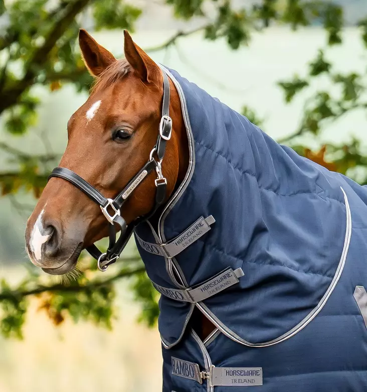 Rambo kaulakappale talliloimeen 100g navy/thunderstorm grey & silver Horseware - Hevosen loimitarvikkeet ja varaosat - 059389 - 1