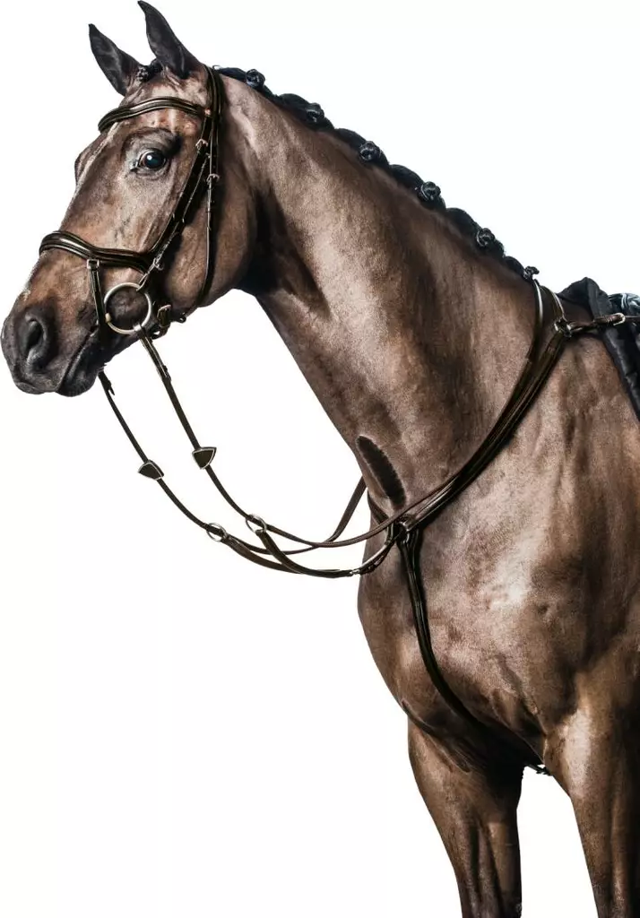 Rintaremmimartingaali Soft ruskea HorseGuard - Ratsun martingnaalit ja rintaremmit - 054429 - 1