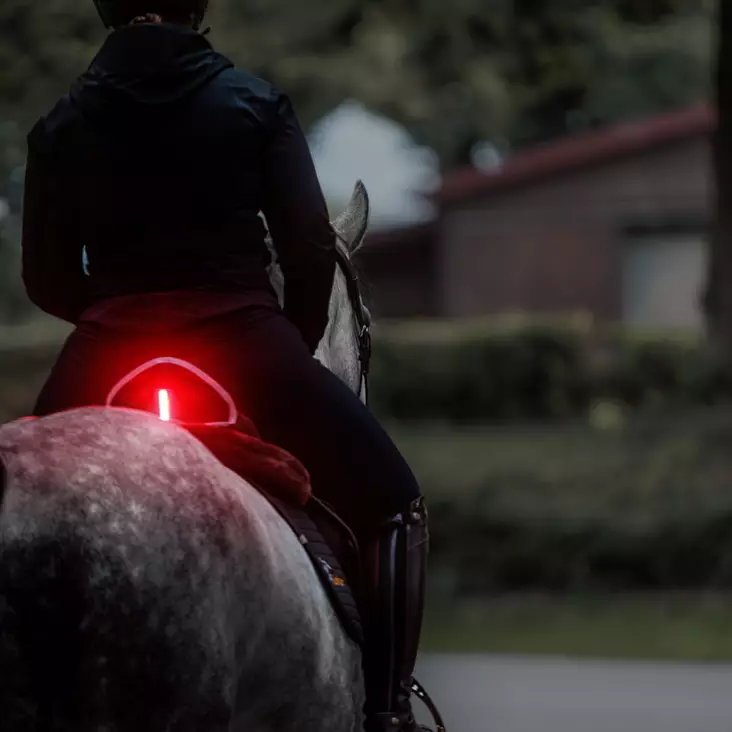 Satulavalo Horselight punainen Kavalkade - Hevosen satulat ja satulatarvikkeet - 051599 - 1