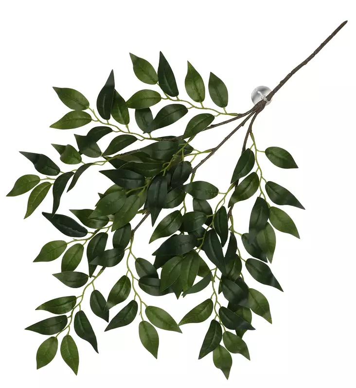 Tekokasvi Banyan Green 62x32cm Terra Della - Terraarion tarvikkeet ja kuivikkeet - 059429 - 1