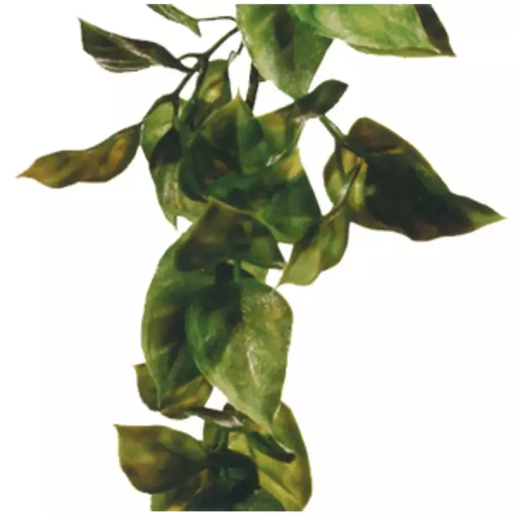 Tekokasvi Jungle Plant Amapallo ExoTerra - Terraarion tarvikkeet ja kuivikkeet - 041319 - 1