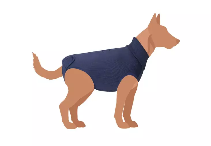 Toipilaspaita Exclusive sininen Camon - Koiran kaulurit ja suojapuvut - 053259 - 1