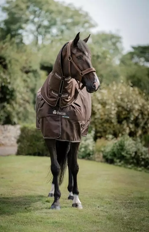 Ulkoloimi Irish Combi 150g espresso Bucas - Sisältää irroitettavan kaulakappaleen. - Hevosen kevyttoppaloimet ulkoiluun - 053769 - 1